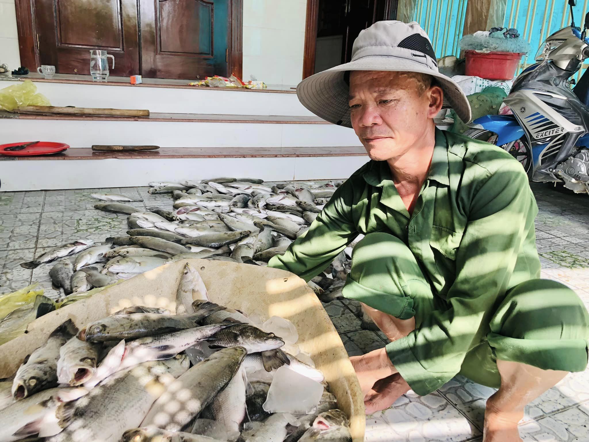 Hà Tĩnh: Gần 60 tấn cá nuôi lồng bè chết vì sốc nước